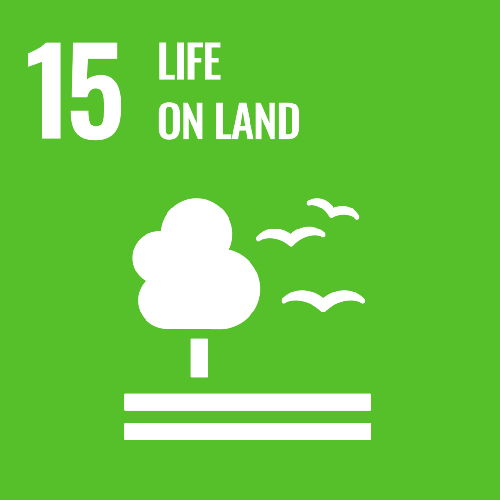 Goal 7