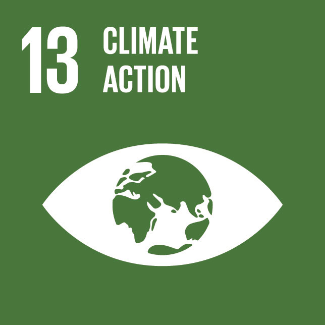 Goal 6